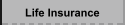 Life Insurance